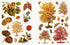 STICKER EMPORIUM CAULDRON OF CURIOSITES - JORDANO. POWELL